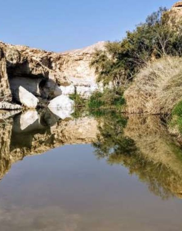 תמונה של עין ירקעם: טבילה קרירה בנווה מדבר - למטייל בישראל (טיולי)